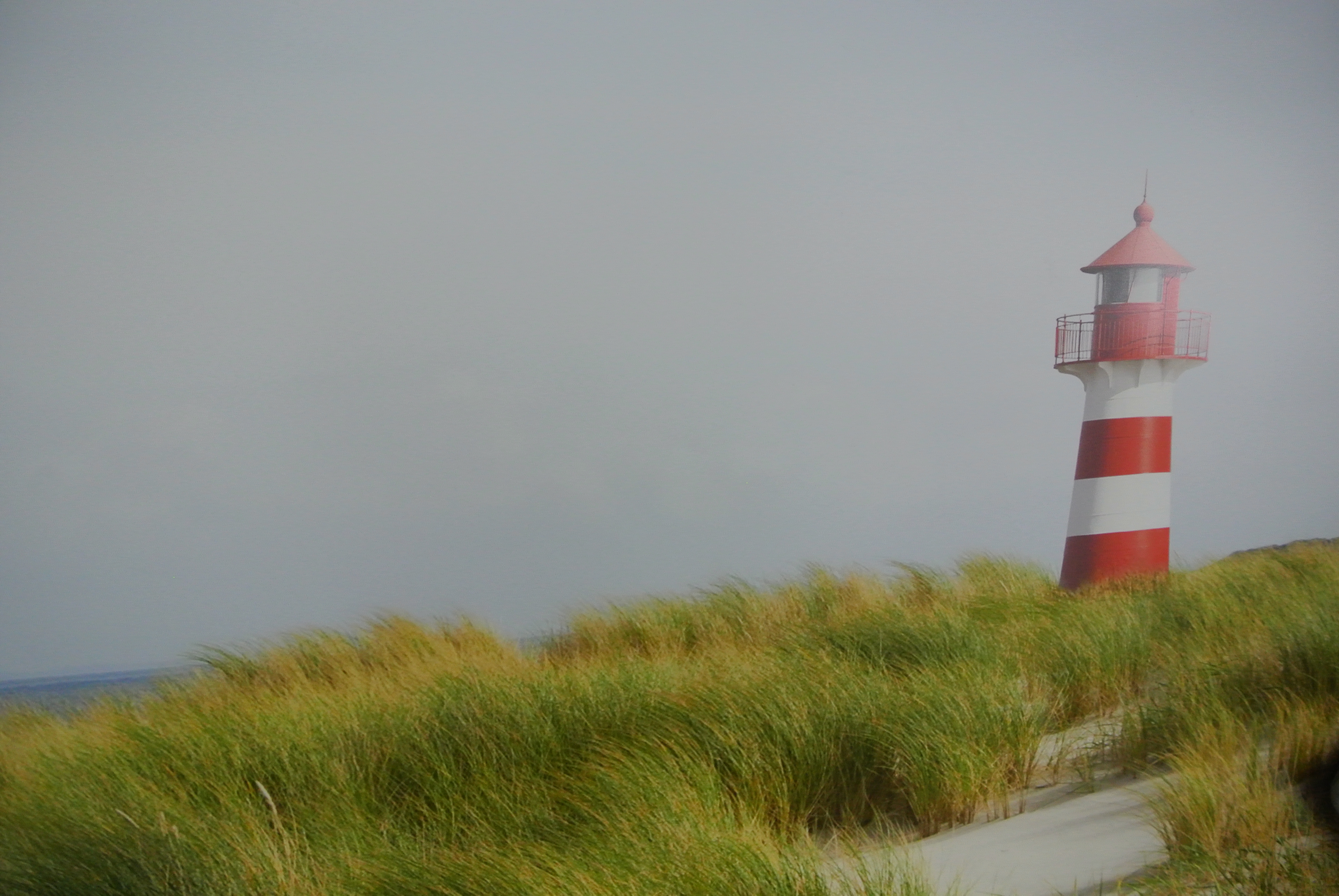 Header
